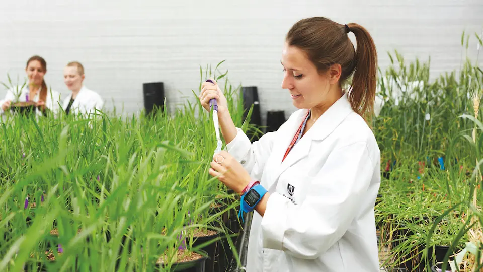 Reseracher in ag bio centre