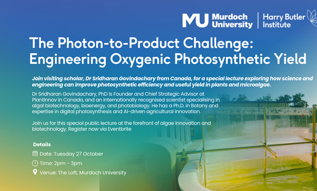 updated photon