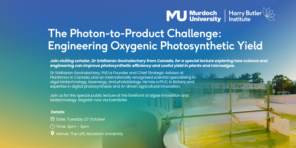 updated photon