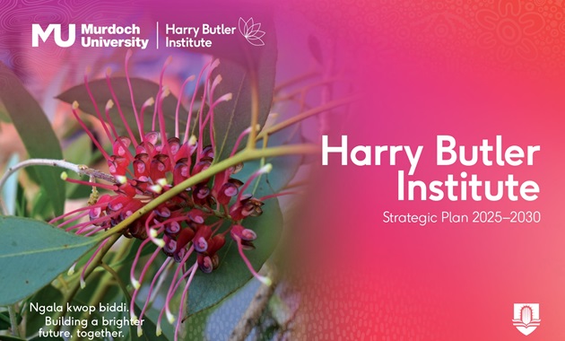 Cover Page for the HBI Strategic Plan 2025-2030