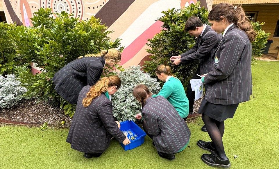 Peter Moyes School students collecting samples