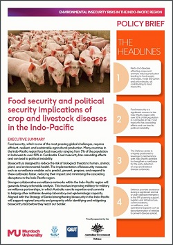 Policy Brief 2 Cover Page