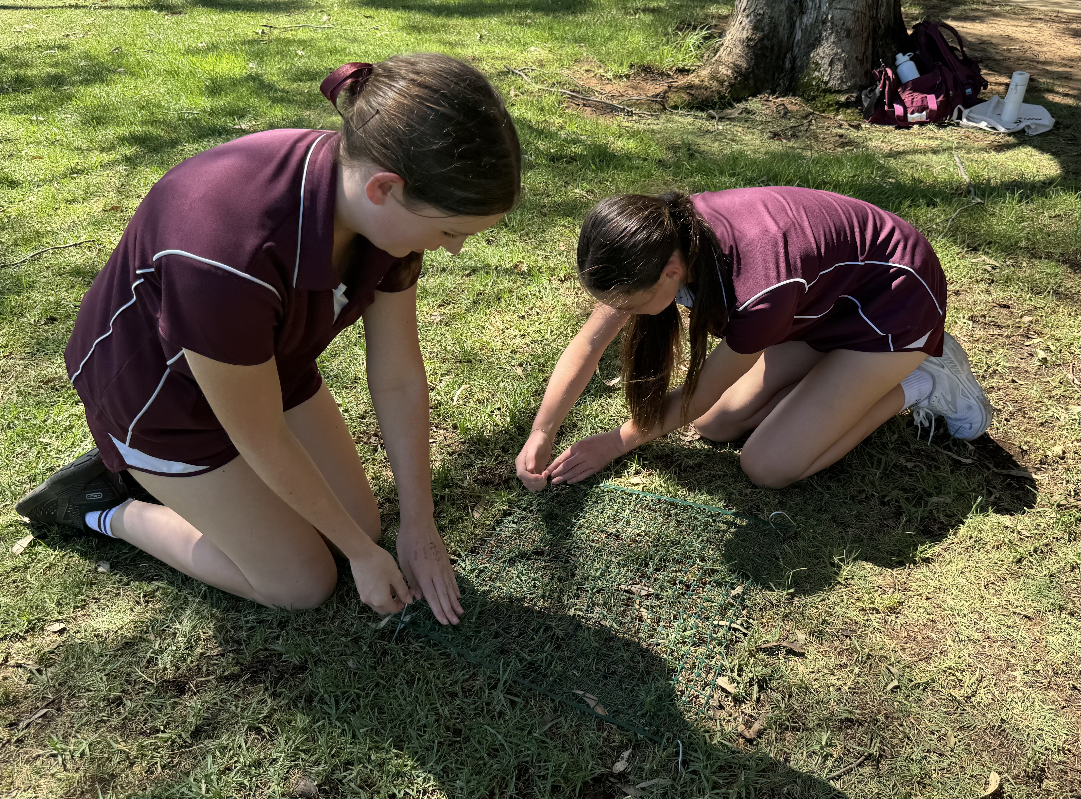 St Marys students installing turtle nest protection