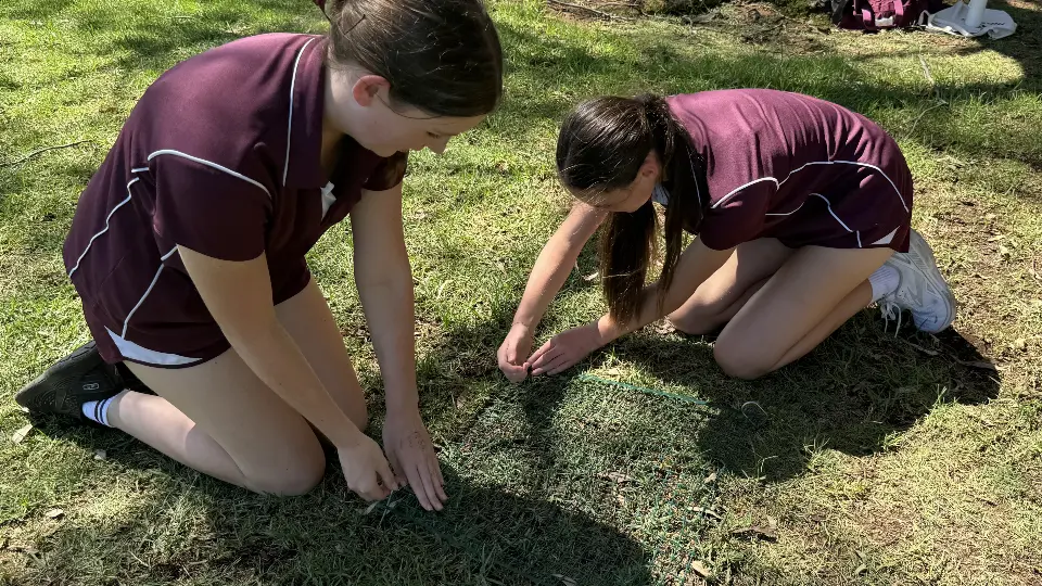 St Marys students installing turtle nest protection