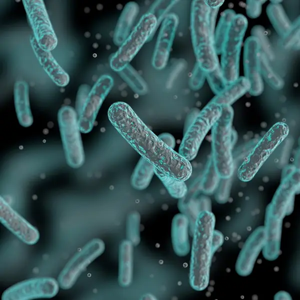 bacteria closeup