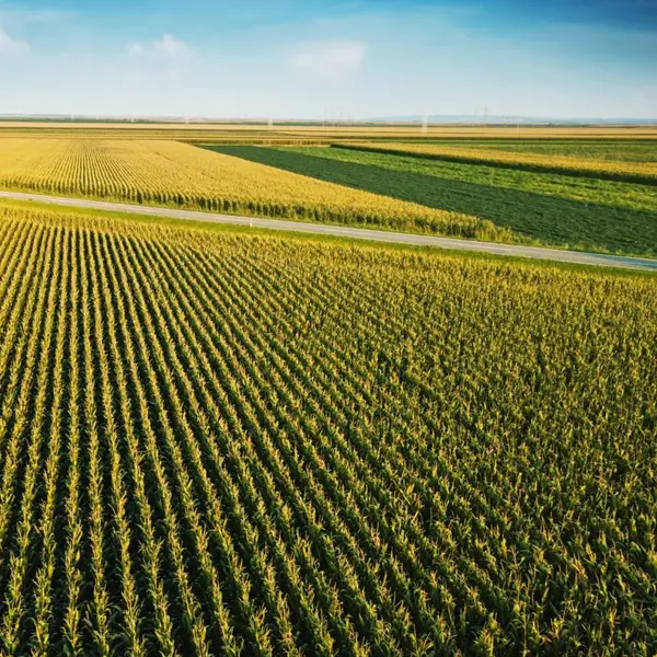 Centre for Crop and Food Innovation