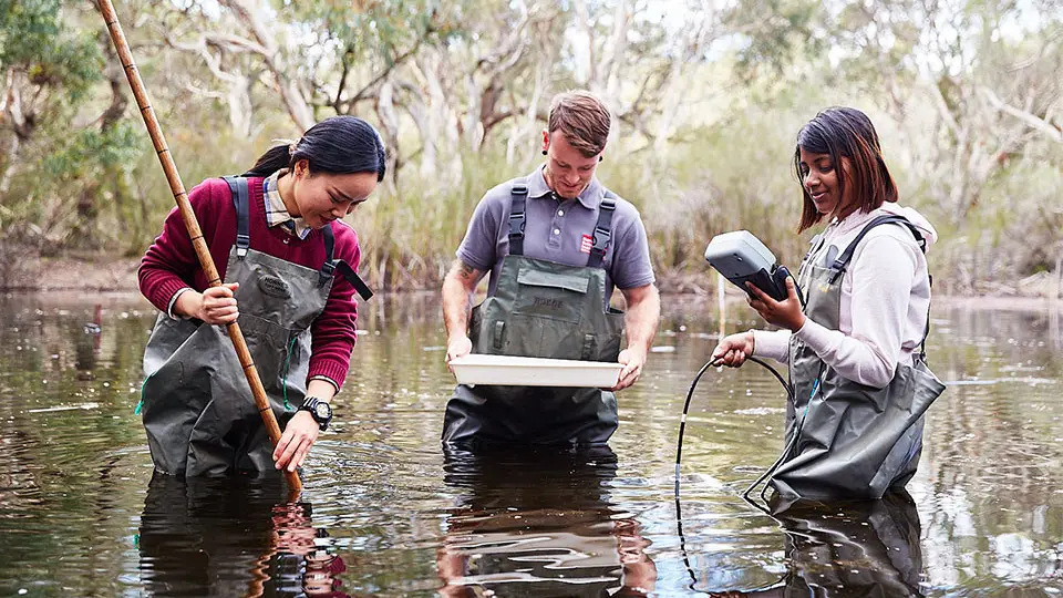 Students in swamp land with equipment