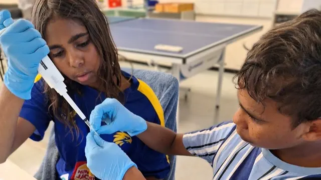 Looma students undertaking DNA extraction