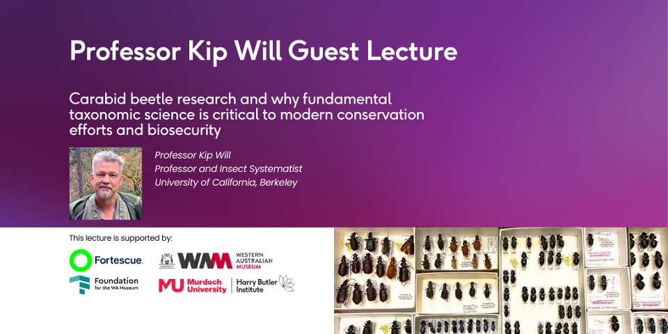 Prof Kip Will Lecture Event Image featuring Prof Will and Carabid beetles