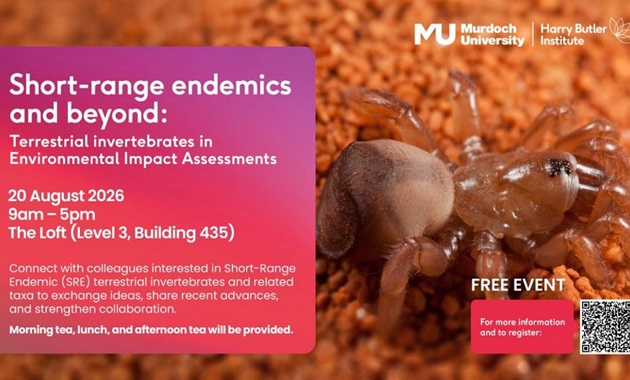 Workshop title over image of a spider