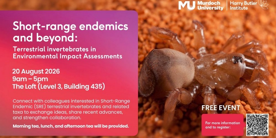 Workshop title over image of a spider