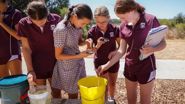 St Marys students undertaking water sampling
