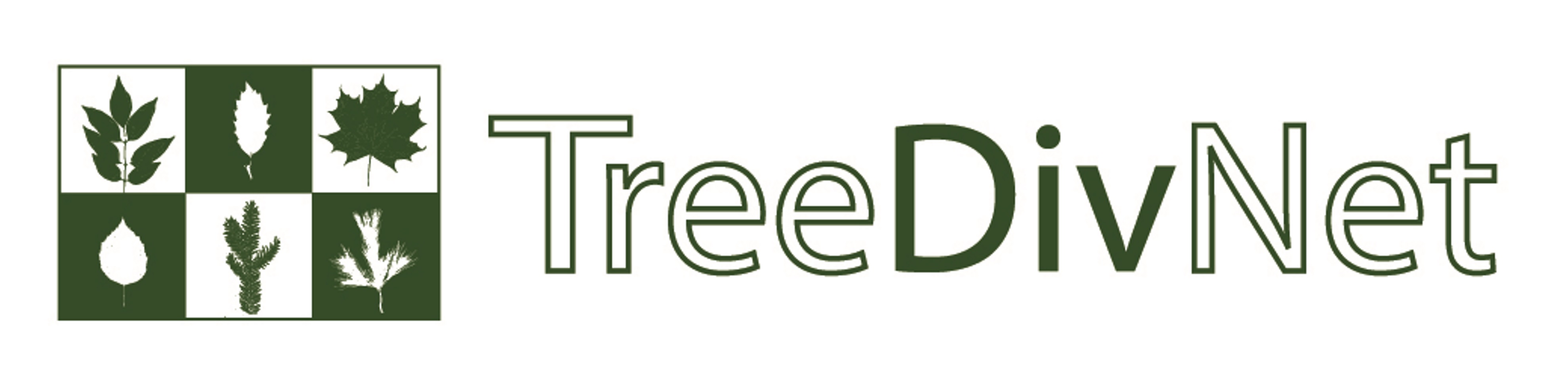 TDN Logo