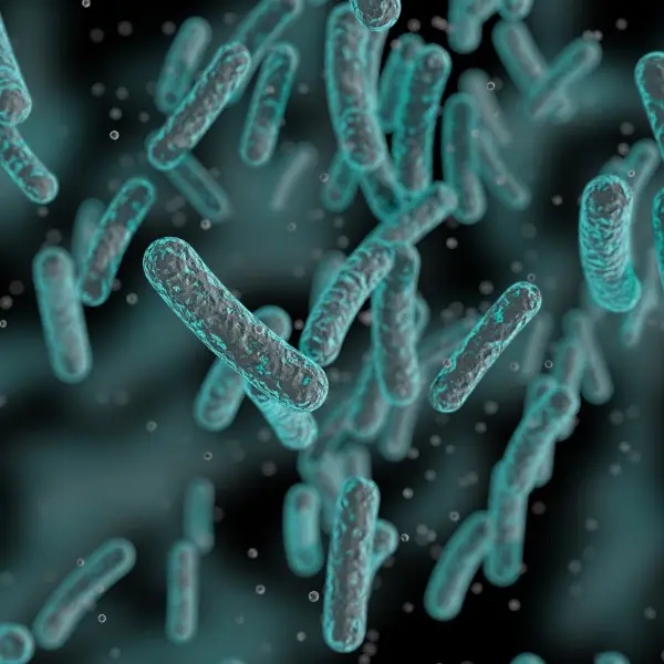 Centre for Molecular Medicine and Innovative Therapeutics