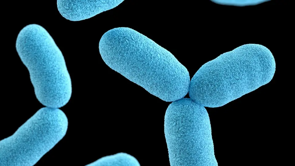 microscopic close up of blue bacteria