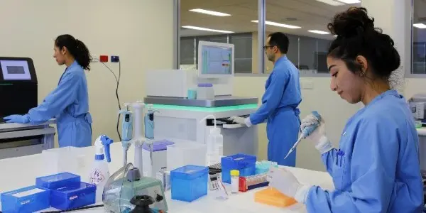 one male and two female researchers working a laboratory