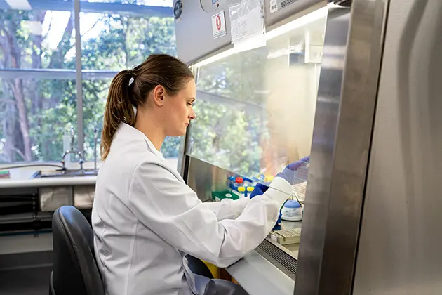 Researcher at laminar flow machine