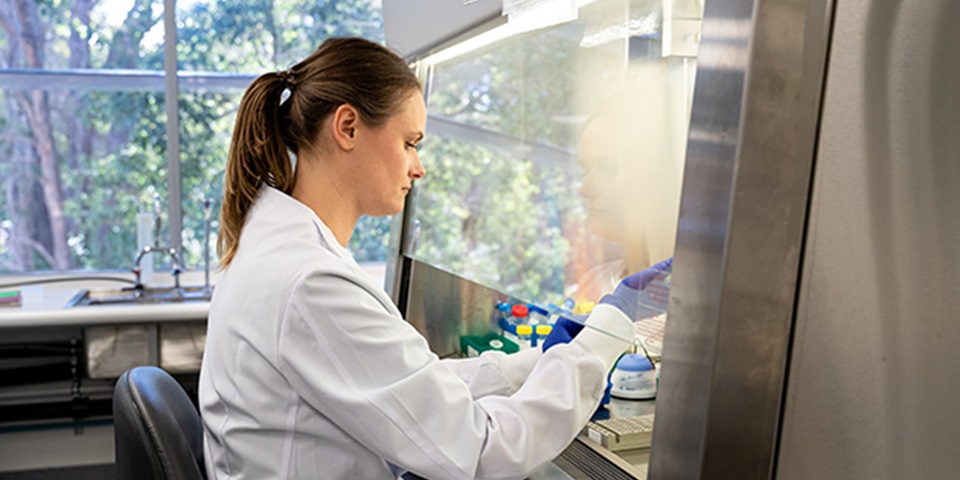 Researcher at laminar flow machine