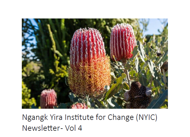 NYIC Newsletter Vol 4