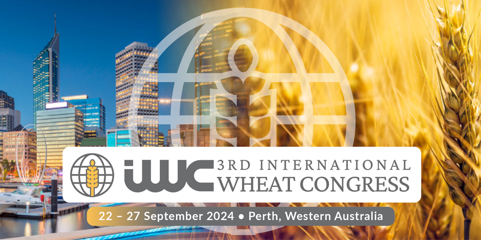 iwc2024 IWC 2024 info banner