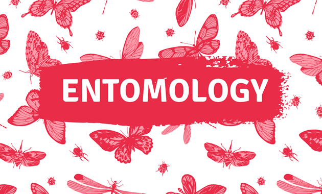 Entomology