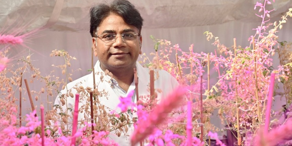 Rajeev Varshney greenhouse