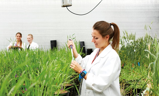 Student in greenhouse