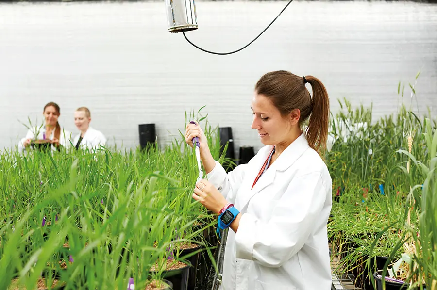 Student in greenhouse