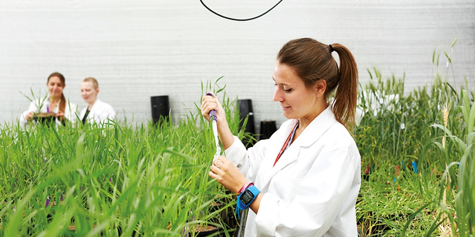 Student in greenhouse