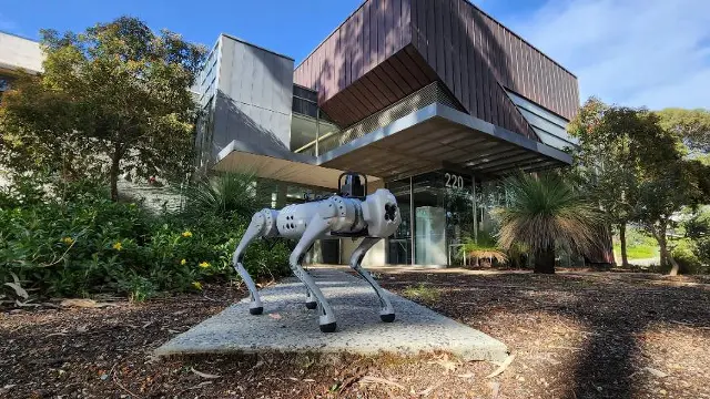 robotic dog in front of building
