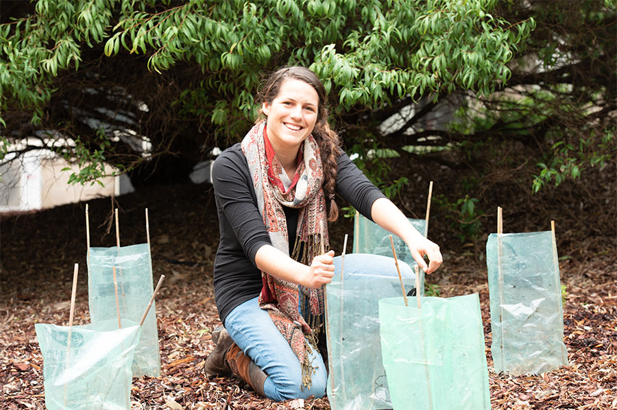 Woman in tree planting area