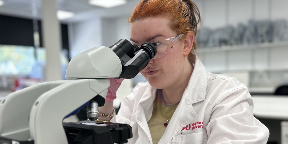 Student looking through microscope in lab
