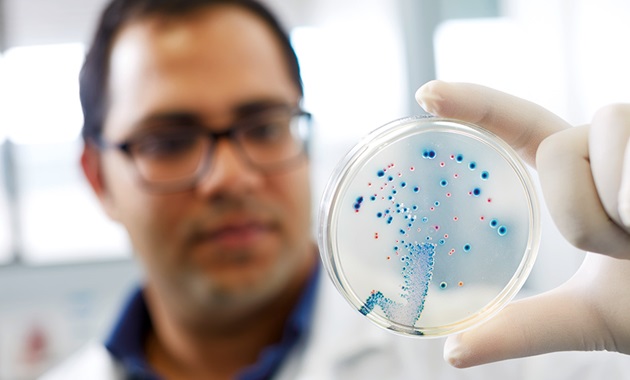 Scientist holding petri dish