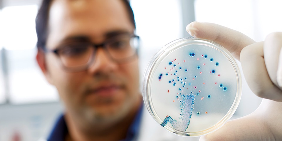 Scientist holding petri dish