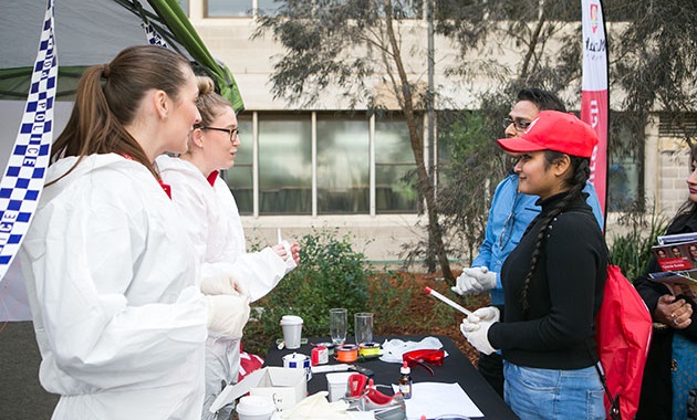 2 students speaking with 2 prospective students