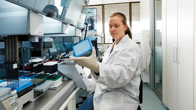 Student in lab using experience