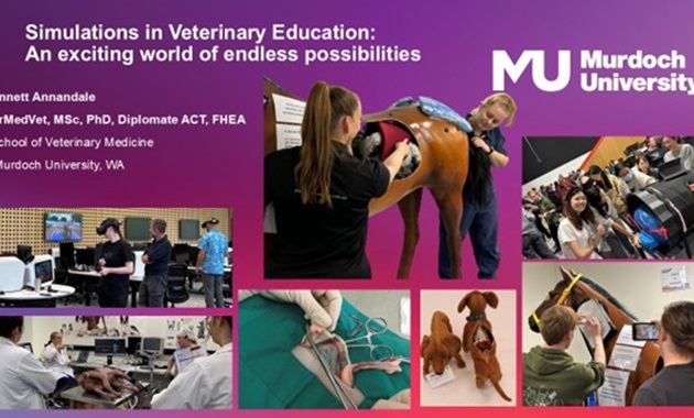 Various photos showing veterinary simulation work