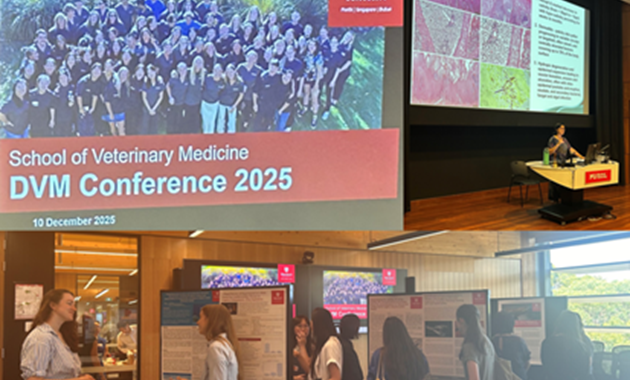 Conference space with people looking at large posters