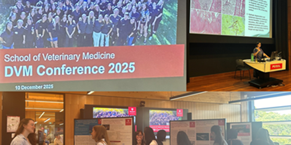 Conference space with people looking at large posters