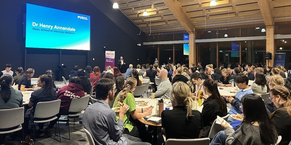Group of people in a room watching an evening presentation