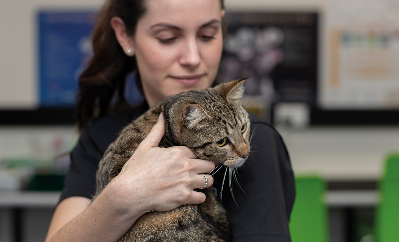 Vet student with cat