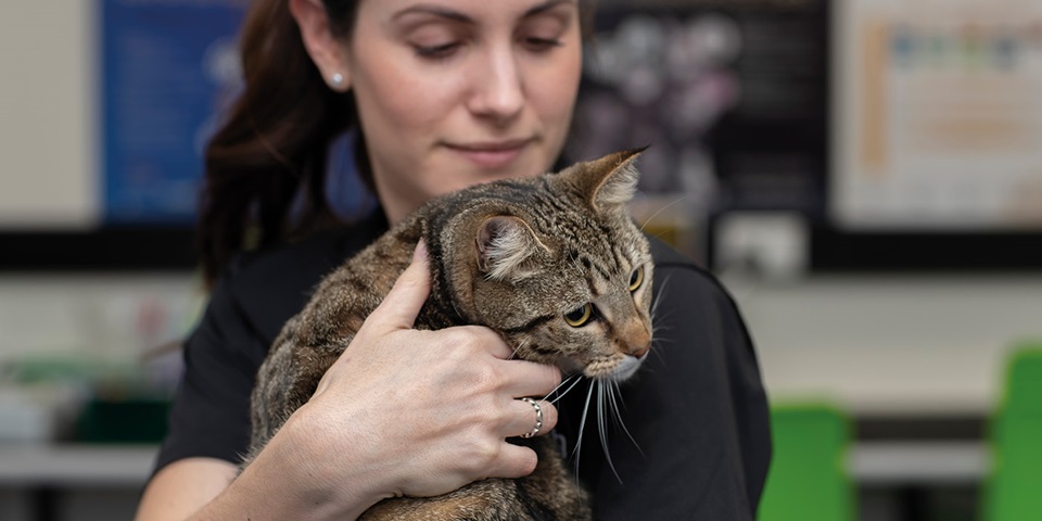 Vet student with cat