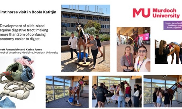 First horse visit in Boola Katitjin various images