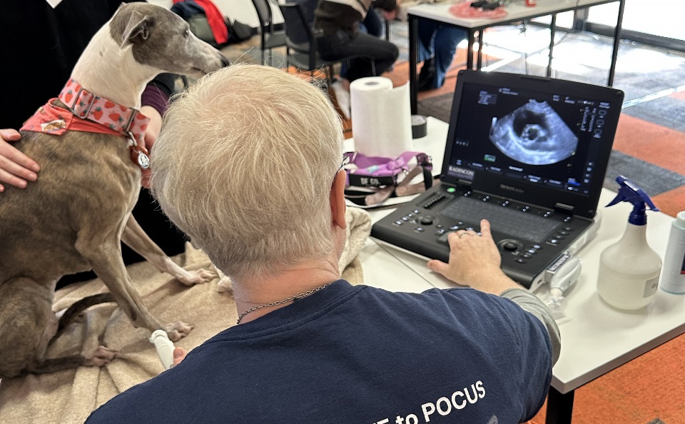 POCUS Workshop in action
