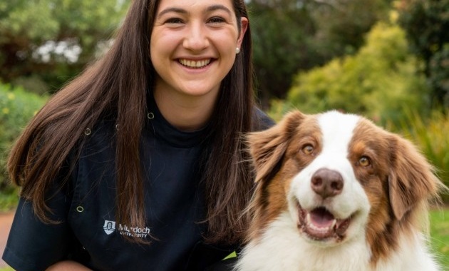 vet with dog