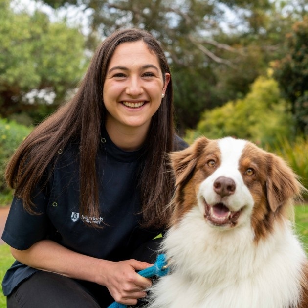 vet with dog