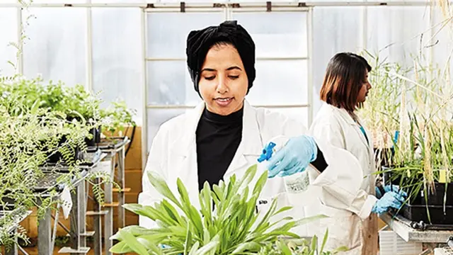Woman researcher in greenhouse