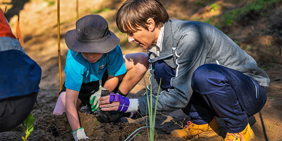 Adult and child planting tree saplings