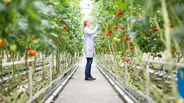 Woman researcher in greenhouse