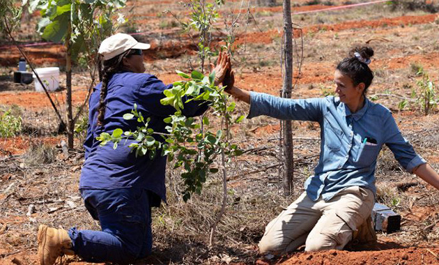 2 woman planting saplings